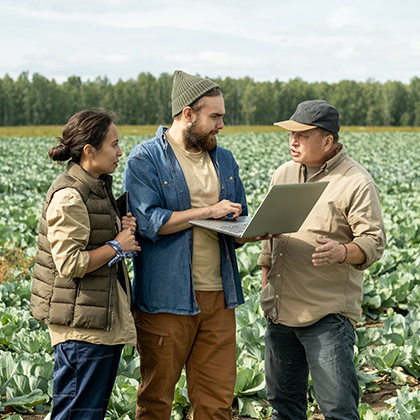 Feed Product Inspection