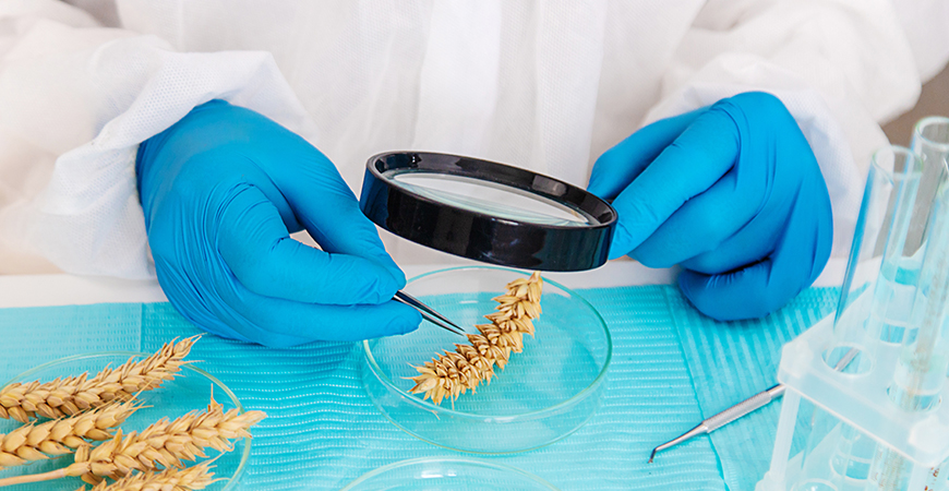 Mycotoxin Analysis