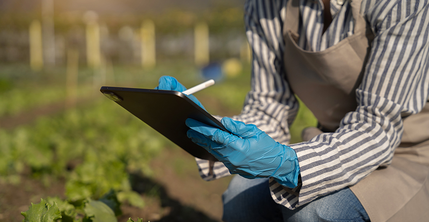 Pesticide Residue Analysis